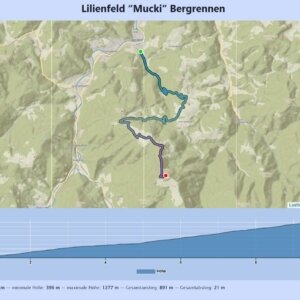 Muckenkogel